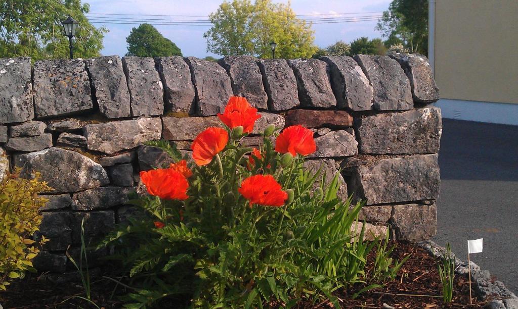 Ashfield House B&B Cong Exterior photo